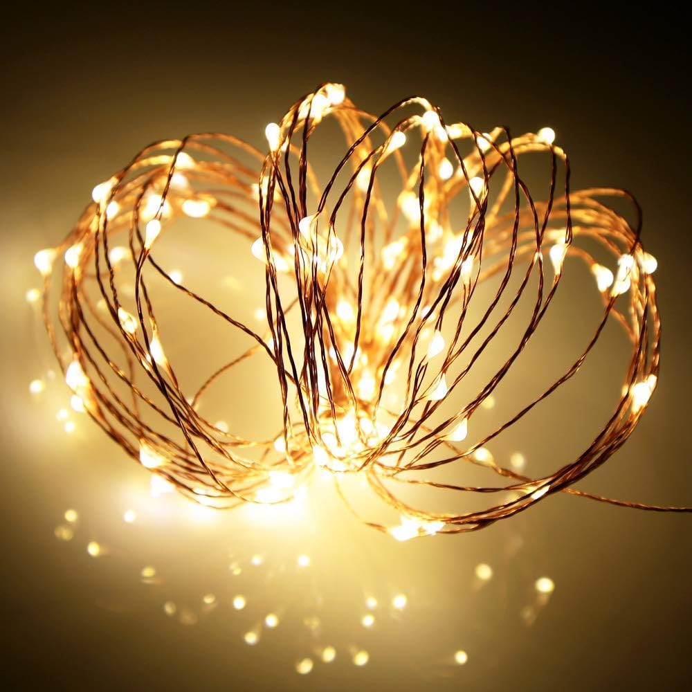 Ariceleo Battery Operated Indoor Fairy Lights - 16ft Warm White LED String Lights for Home Decor