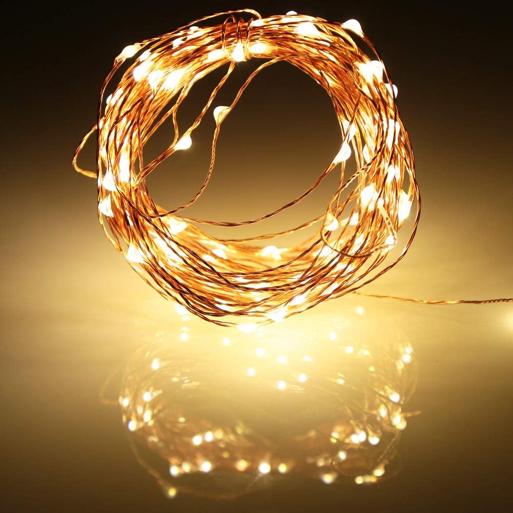 Ariceleo Battery Operated Indoor Fairy Lights - 16ft Warm White LED String Lights for Home Decor
