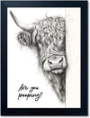Rustic Funny Highland Cow Bathroom Wall Art - Humorous 'Are You Pooping?' Canvas Print with Black Frame (8x10)