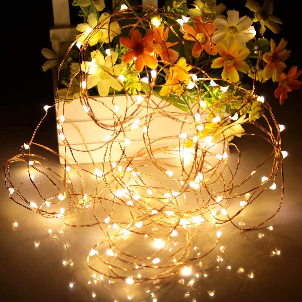 Ariceleo Battery Operated Indoor Fairy Lights - 16ft Warm White LED String Lights for Home Decor