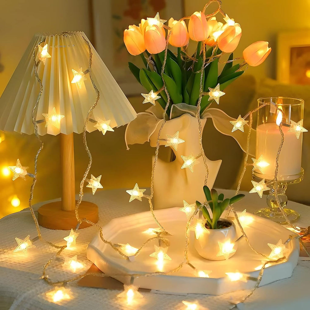 ANJAYLIA 20 LED Star String Lights - 10ft Battery Operated Warm White Indoor/Outdoor Decor