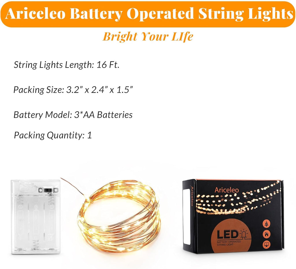 Ariceleo Battery Operated Indoor Fairy Lights - 16ft Warm White LED String Lights for Home Decor
