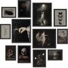 97 Decor Dark Academia Wall Art Set - Victorian Gothic Prints for Home Decor (12 Unframed Posters)
