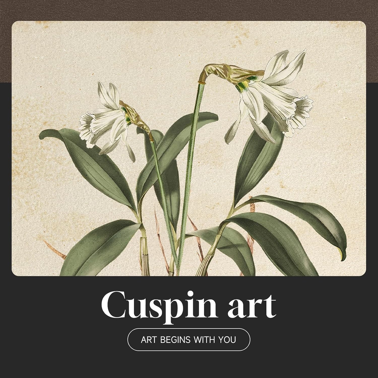 Cuspin 4-Piece Vintage Framed Floral Botanical Wall Art Prints, 8x10 Inch for Home Decor