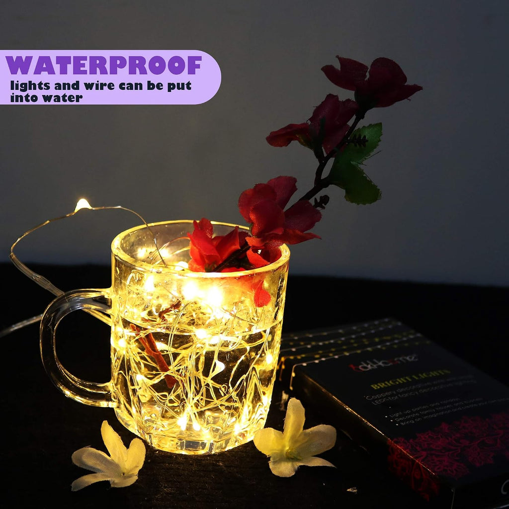 OakHaomie 6-Pack Battery Fairy Lights w/Remote Timer - Waterproof Warm White Twinkle String Lights