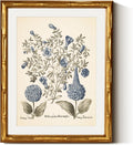 InSimSea Vintage Blue Hydrangea Framed Canvas Wall Art - Gold Bamboo Frame, 11x14in